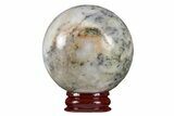 Polished Dendritic Agate Sphere - Madagascar #218914-1